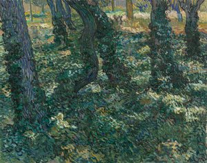 Sous-bois
